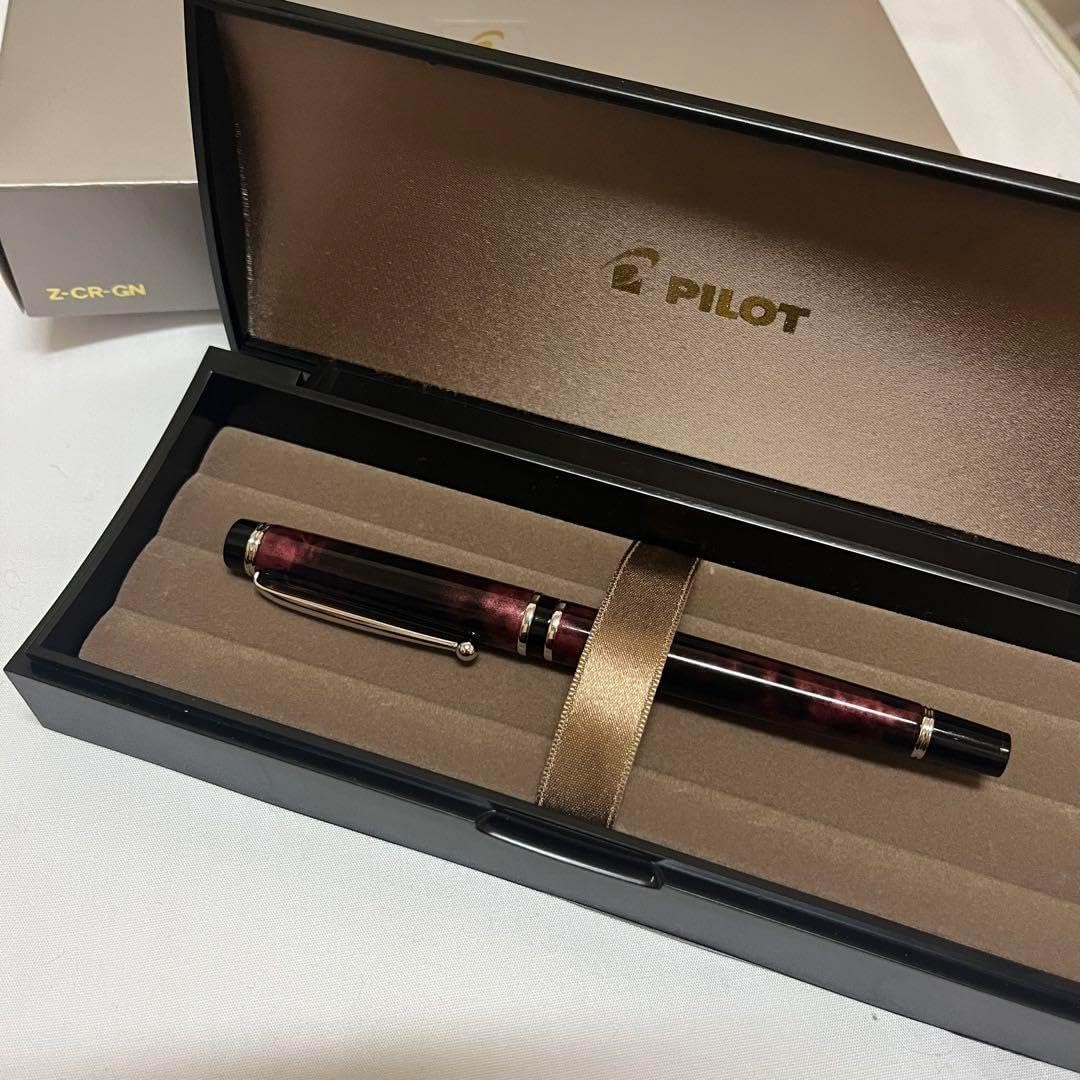 PILOT 万年筆 Z-CR-GN 黒色 (M中字)専用ケース付き